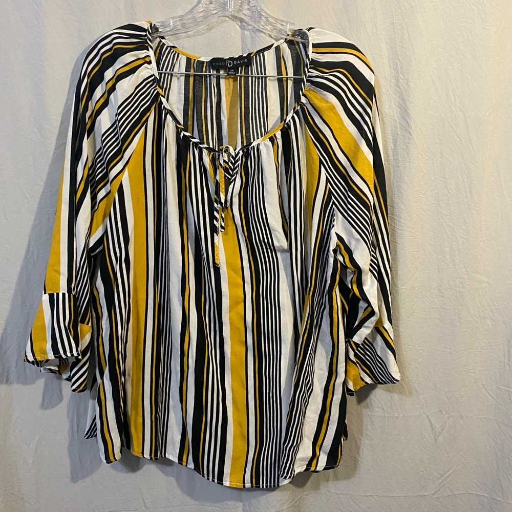 EUC size 2x Fred David Blouse